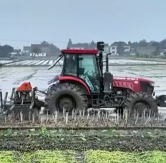 您負(fù)責(zé)統(tǒng)籌全局，它負(fù)責(zé)腳踏實地